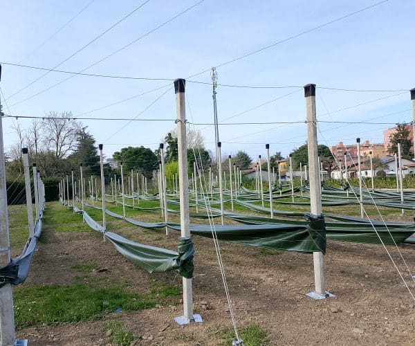 I lavori al Mirtilleto