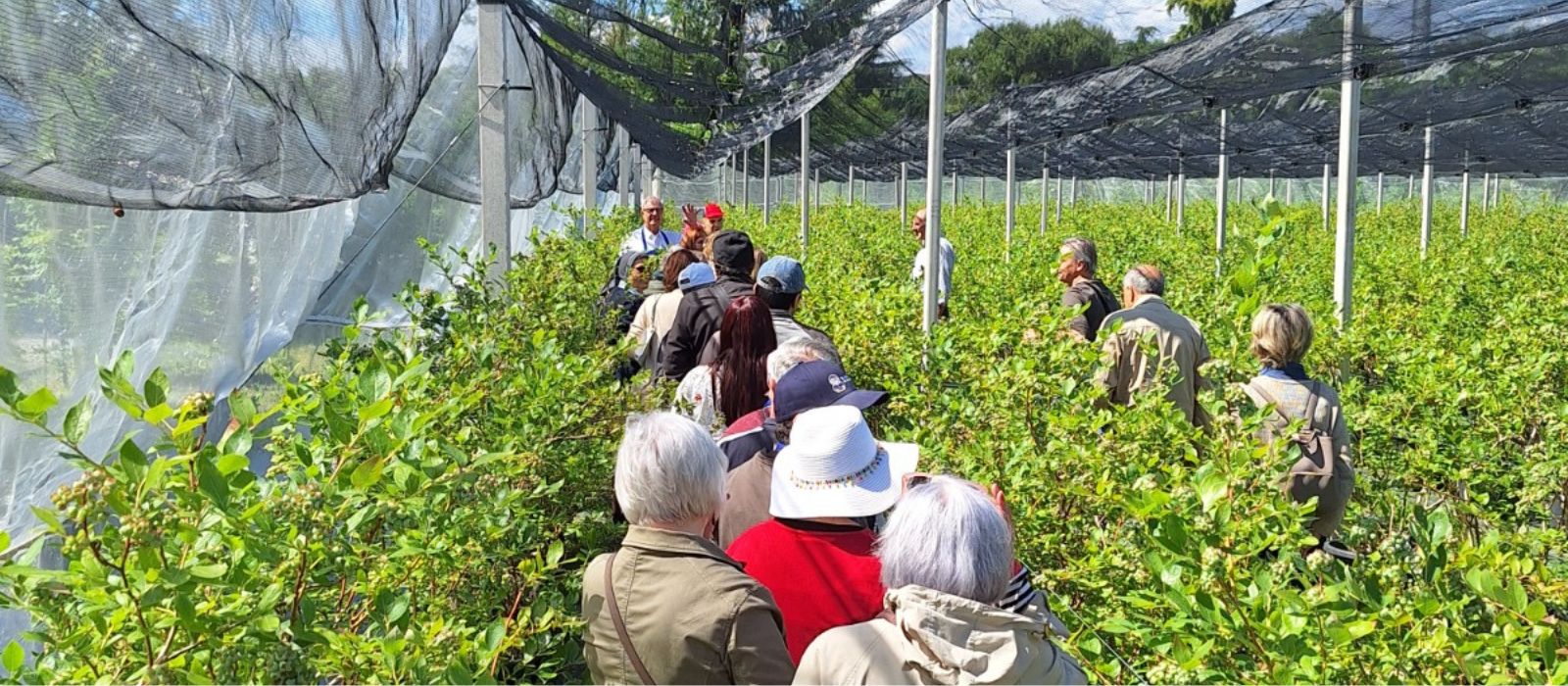 visite guidate mirtilleto articolo
