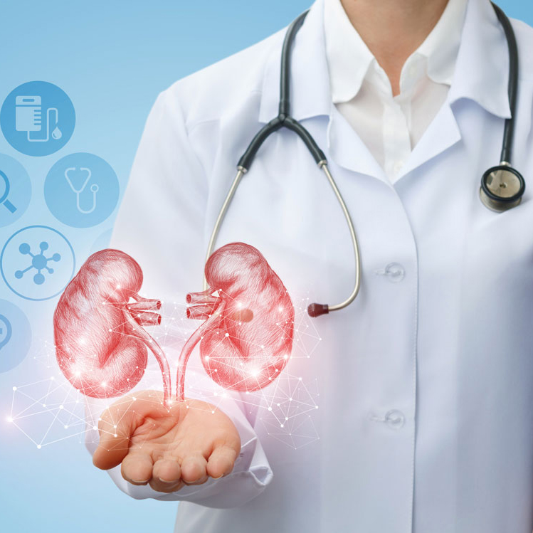 Nefrologia