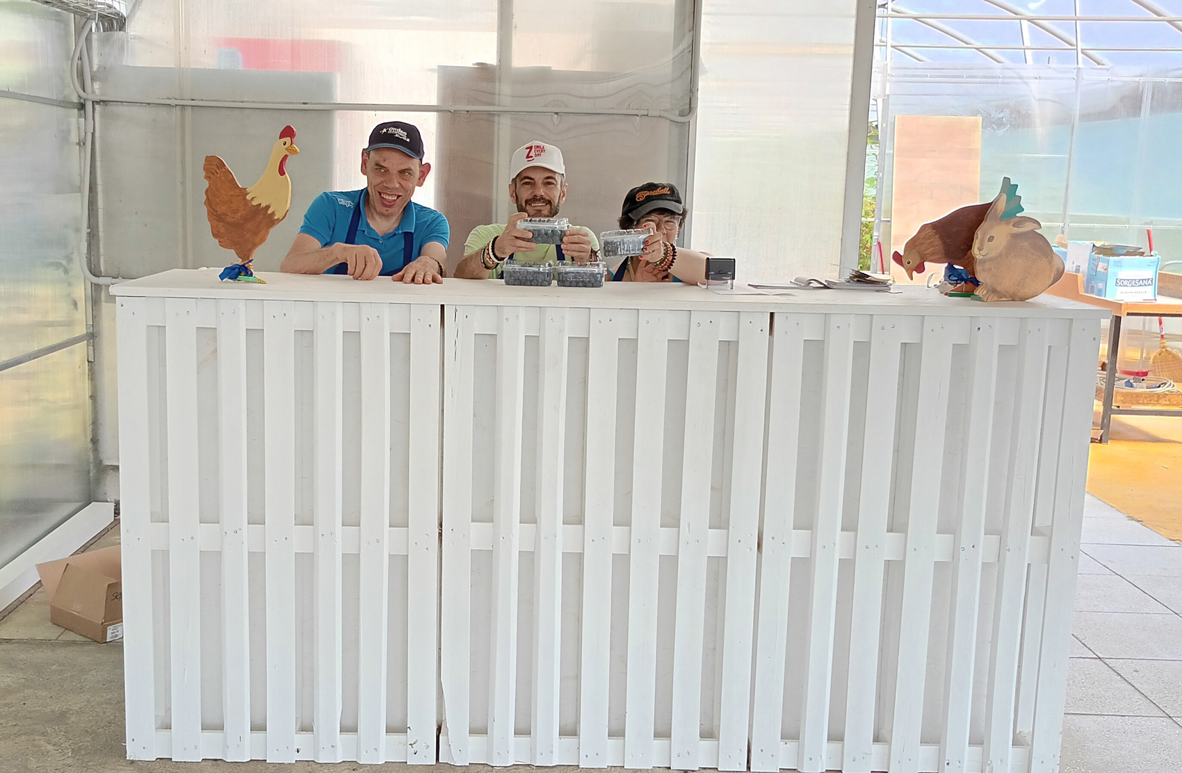 Mirtillo-Team-Mirtilleto