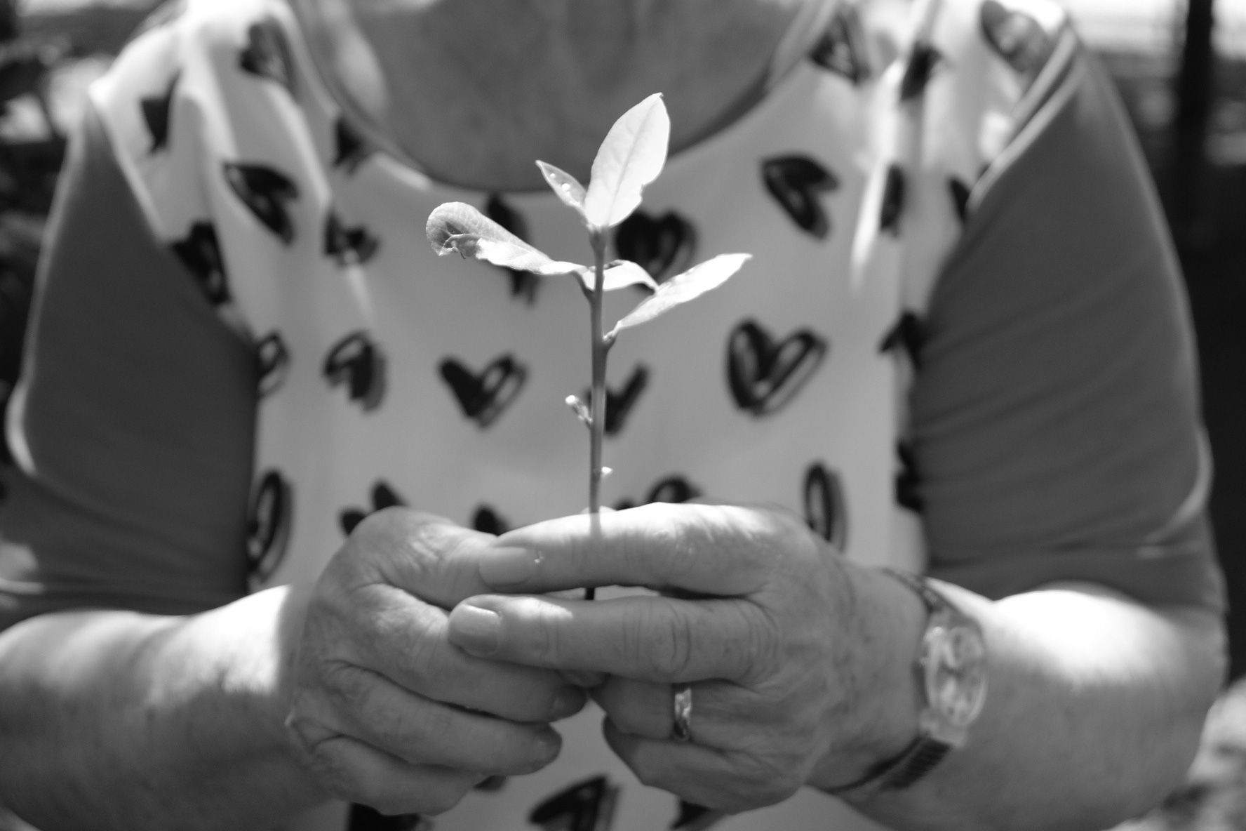 Alzheimer_fotografia_Marianna_Sambiase